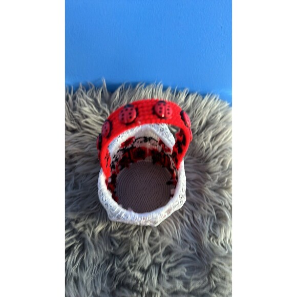 Ladybug Spring Gift Basket Valentines Easter Birthday - Picture 3 of 4